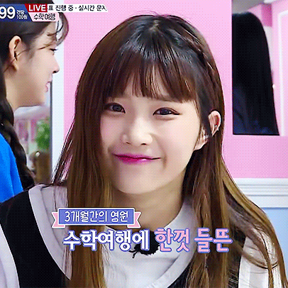 프로미스나인에서 본인이 가장 좋아하는 최애 멤버는? | 인스티즈