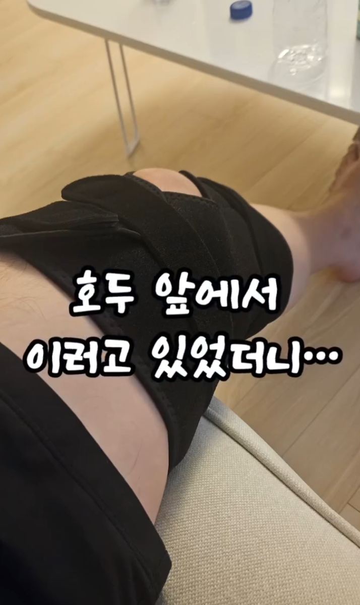 다리 깁스한 집사 약올리는 고양이 | 인스티즈