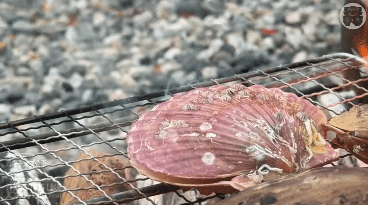 한국에서 오토바이 여행하는 일본인.gif | 인스티즈