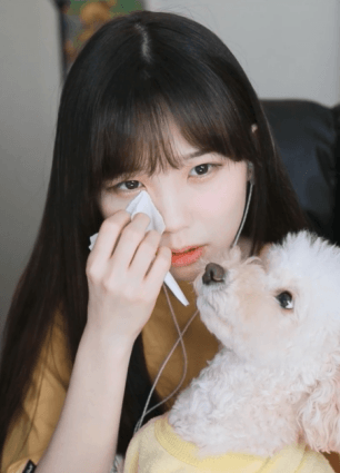 자면서도 할건 다 하는 트위치 스트리머 우정잉...jpg | 인스티즈