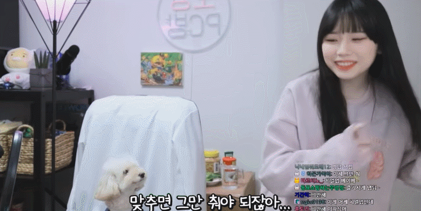 트위치 스트리머 우정잉의 랜덤플레이댄스.gif | 인스티즈