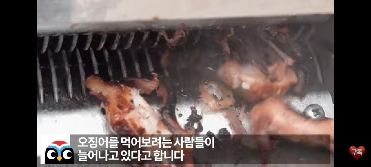 오징어게임 때문에 덩달아 인기 상승중인 | 인스티즈