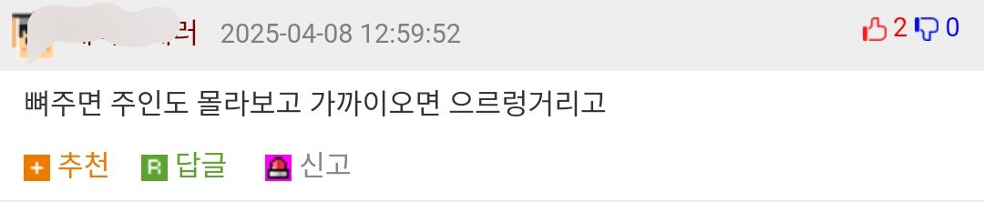 개 키워 본 사람들은 공감하는 것 | 인스티즈