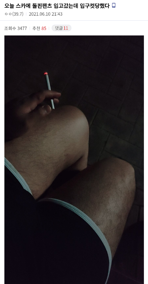 카페돌핀 이미지