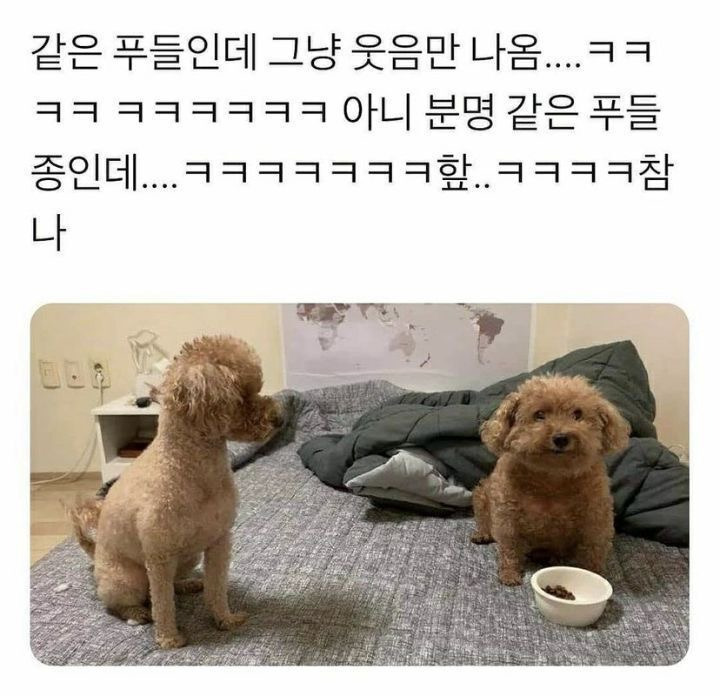 나옴 이미지