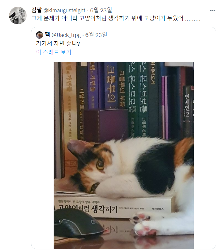 어필 이미지