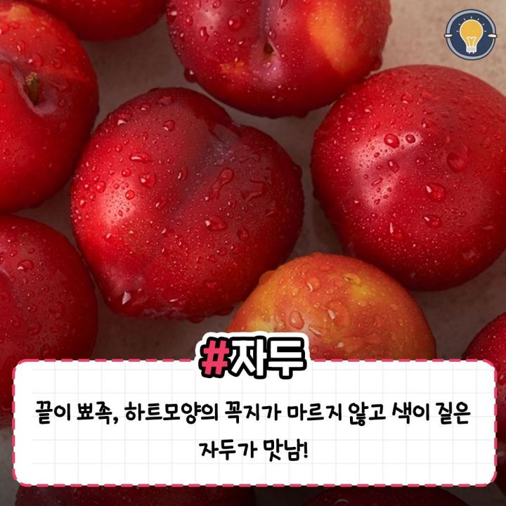 실패 없이 맛있는 과일 고르는 꿀팁.jpg | 인스티즈