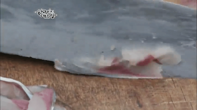 고등어 회.gif | 인스티즈