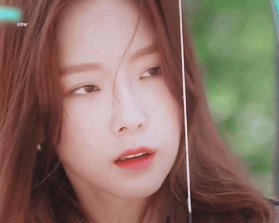 양궁 금메달기념 태연 활쏘기 | 인스티즈
