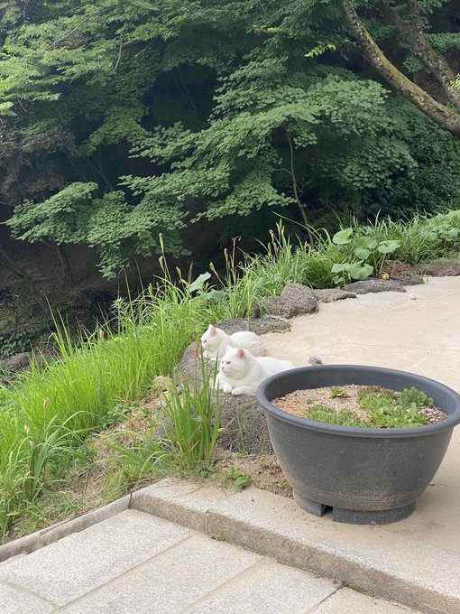 복길이네 이미지