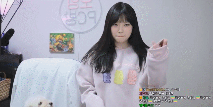 트위치 스트리머 우정잉의 랜덤플레이댄스.gif | 인스티즈