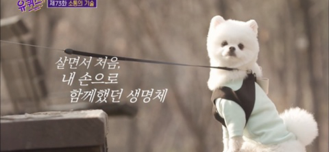 (유)처음으로 이미지