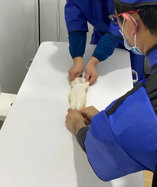 엑스레이 찍으러 온 고양이.jpg | 인스티즈