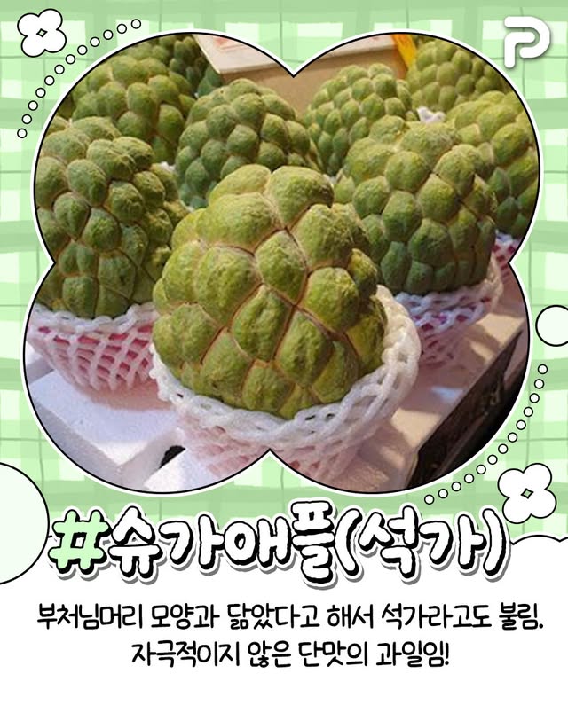 동남아 여행 필수 과일 리스트.jpg | 인스티즈