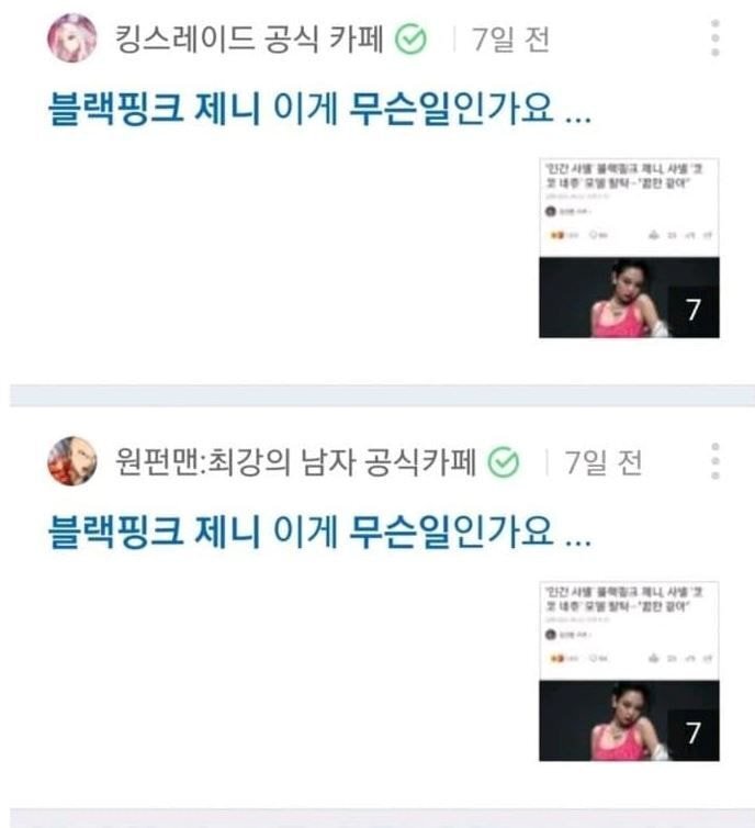 YG가 정말 고소를 해야 할 거 같은 심각한 블랙핑크 역바이럴 | 인스티즈