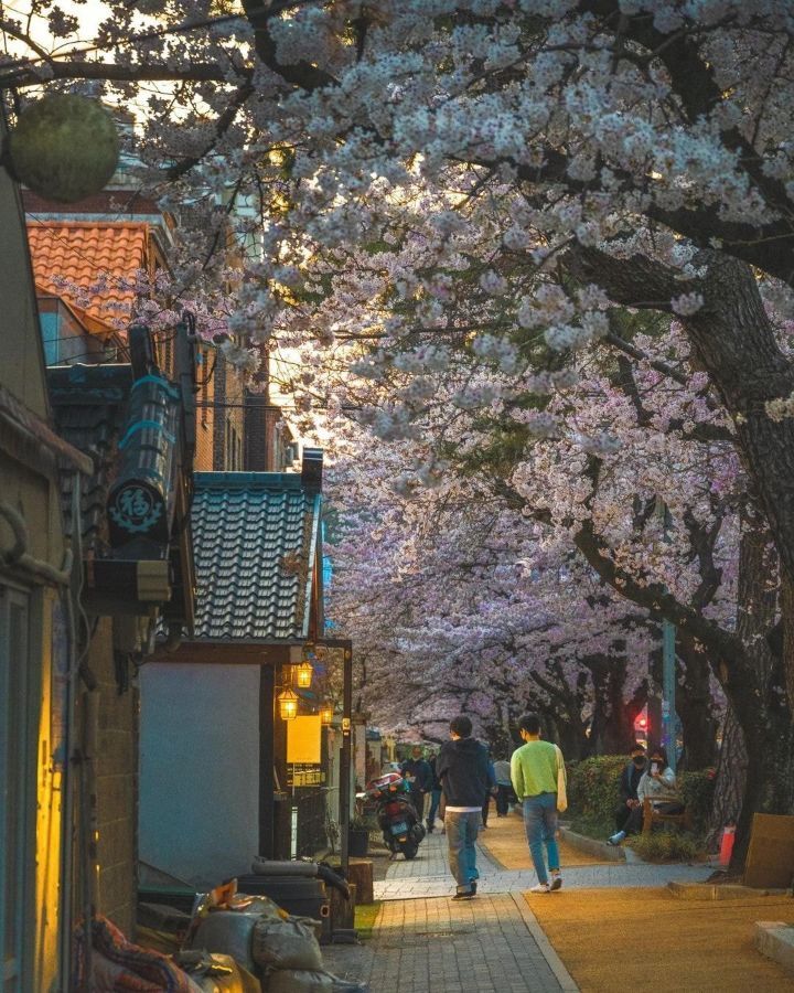 해외에서 반응 좋았던 울릉도 사진 | 인스티즈