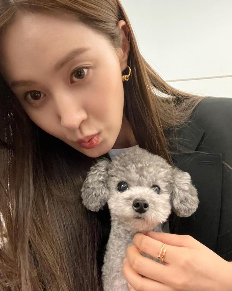 두이 이미지
