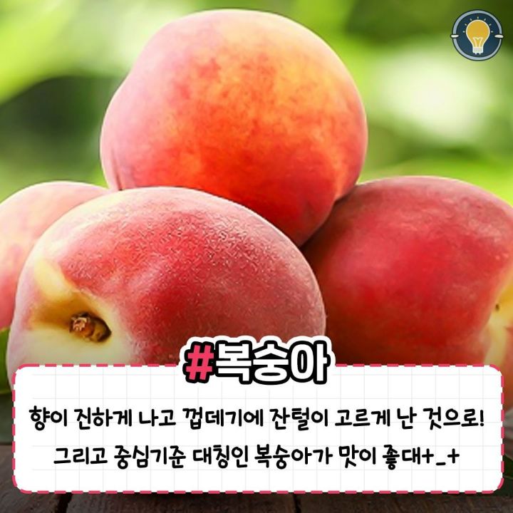 실패 없이 맛있는 과일 고르는 꿀팁.jpg | 인스티즈