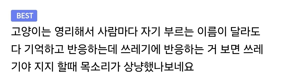 고양이한테 쓰레기라고 부르는 사람 | 인스티즈