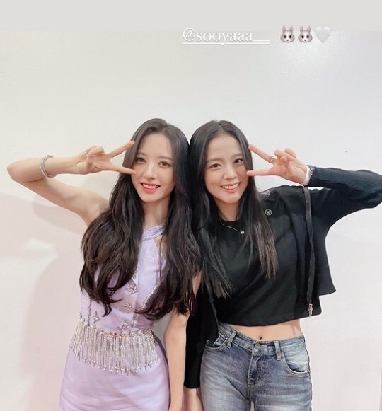 보나 이미지