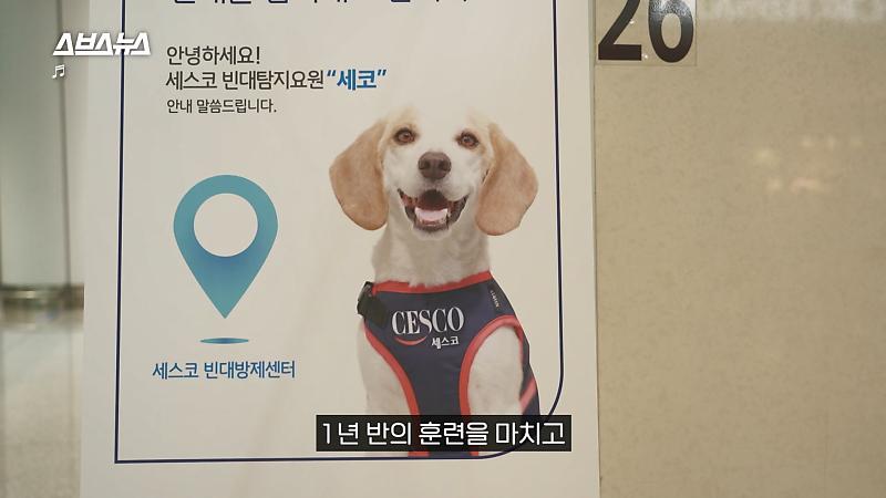 대한민국 제 1호 빈대탐지견 '세코' | 인스티즈