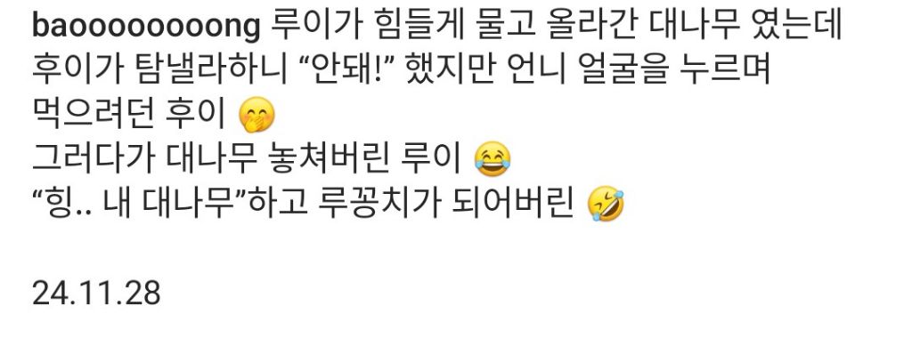 후이때문에 대나무도 놓치고 만신창이 된 루이바오🐼.gif | 인스티즈