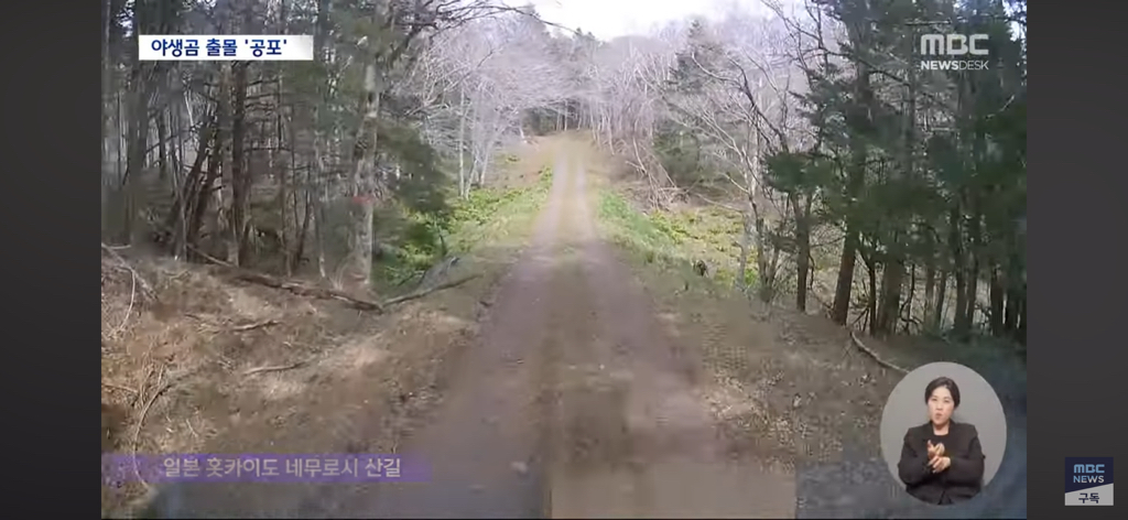 일본열도는 곰비상 | 인스티즈