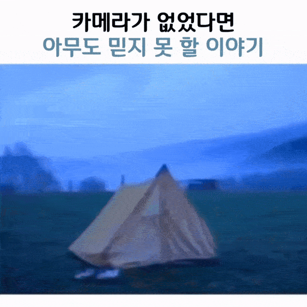 아니 소가 진짜 내 신발을 신고 갔다니까요?.gif | 인스티즈