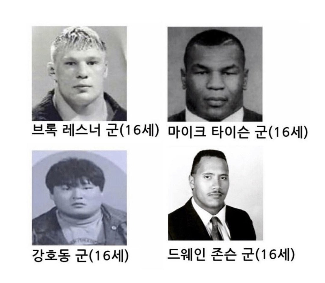 꽃다운 이미지