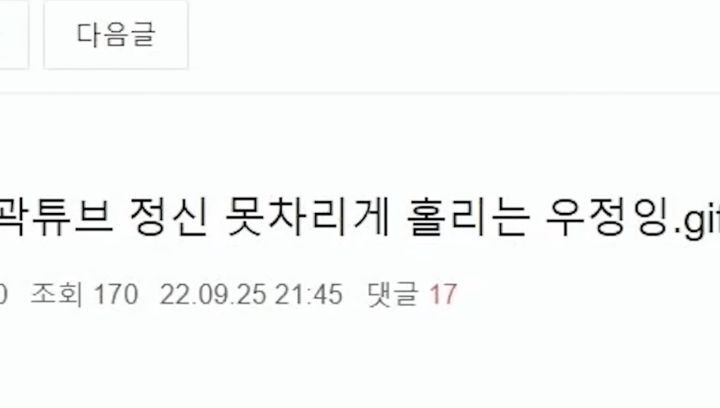 최근 불거진 논란에 대해 적극적으로 해명하는 우정잉.gif (유머글임) | 인스티즈