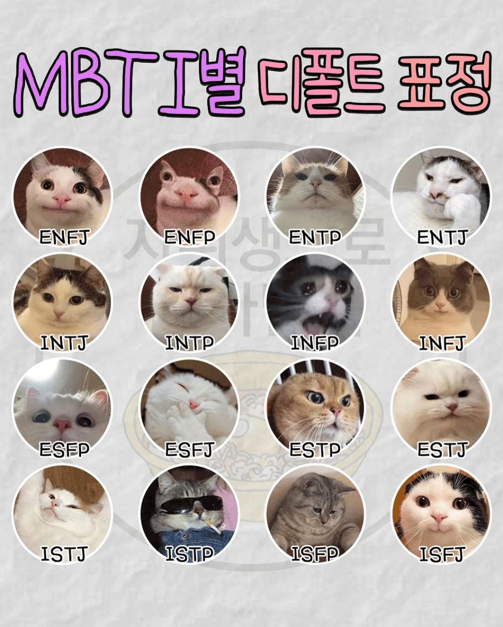 디폴트 이미지