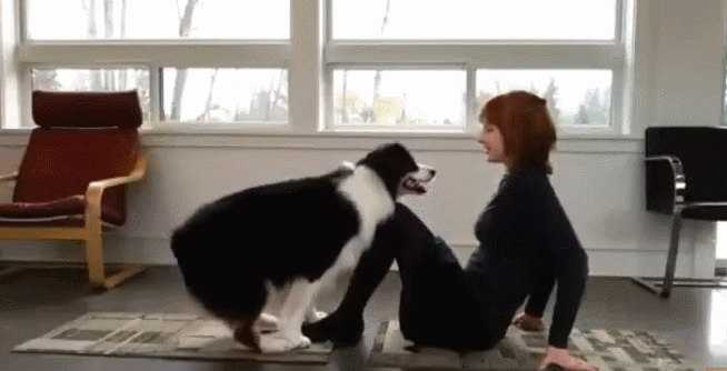 브로콜리랑 요가하기.gif | 인스티즈