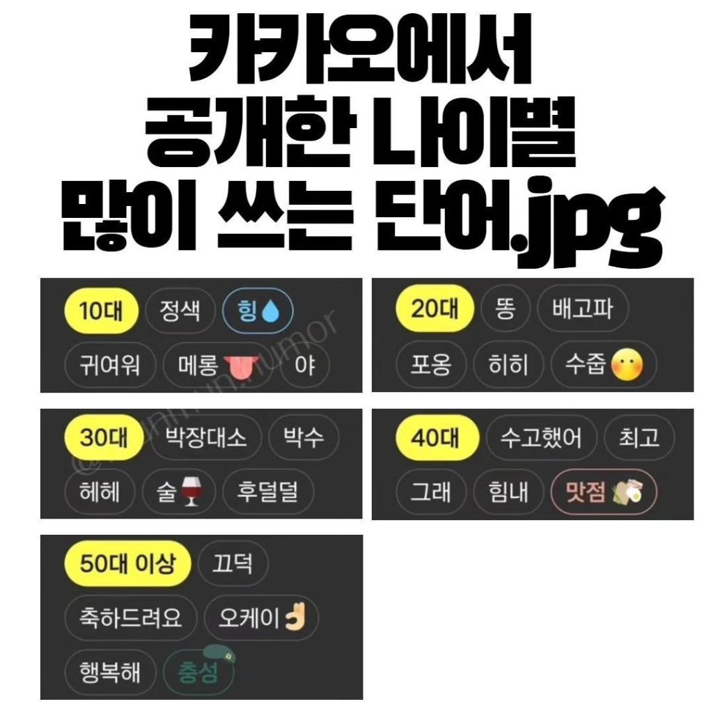 카카오에서 공개한 나이별 많이 쓰는 말 | 인스티즈