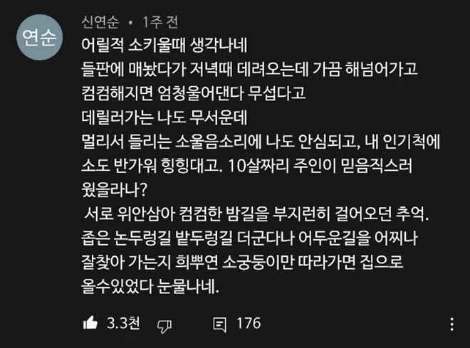 생각보다 지능이 높은 동물.txt | 인스티즈