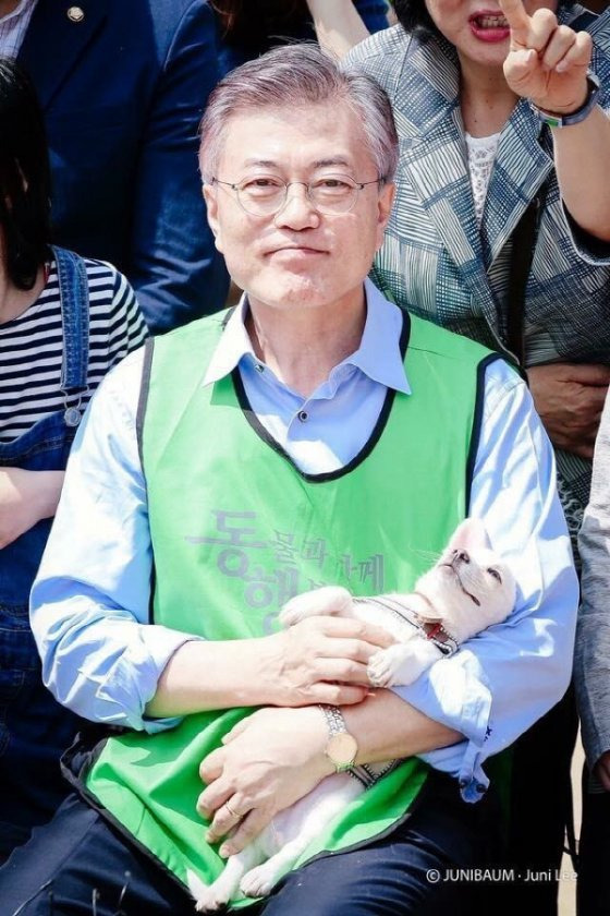 정치인 강아지 안기 정석 | 인스티즈