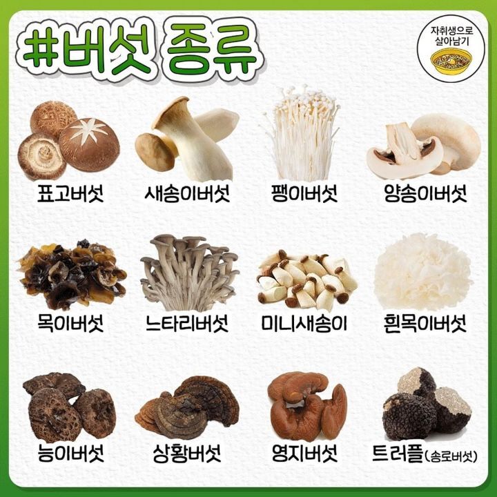 알아두면 유용한 식재료별 명칭 완벽 총정리.jpg | 인스티즈