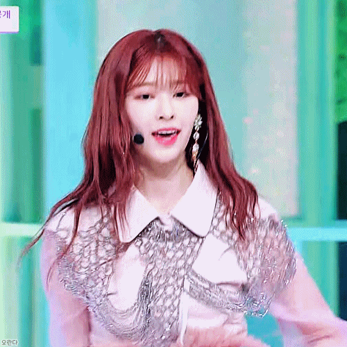 본인이 아이즈원에서 제일 좋아하는 최애 멤버는? | 인스티즈