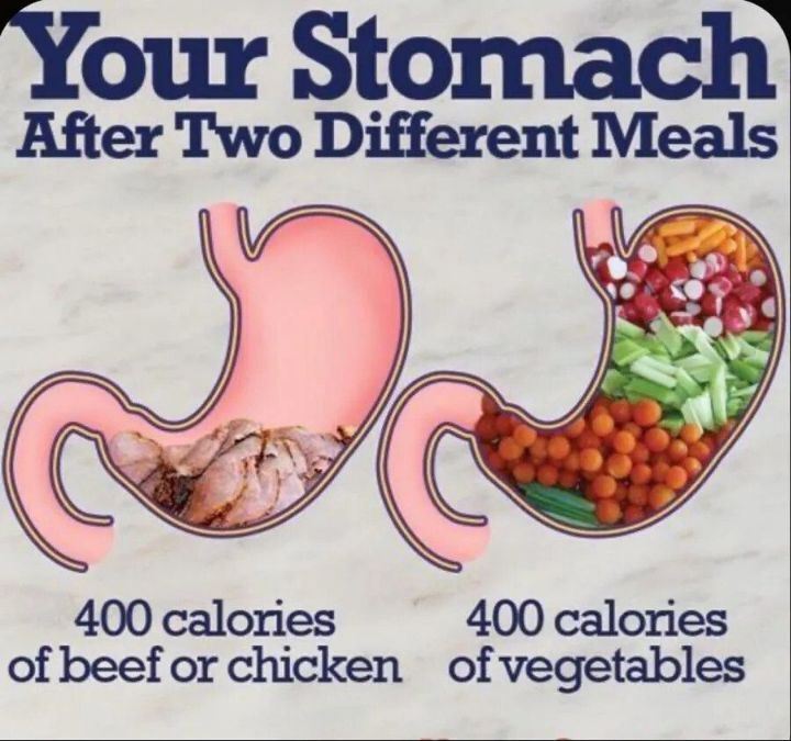 400칼로리 비교사진 | 인스티즈