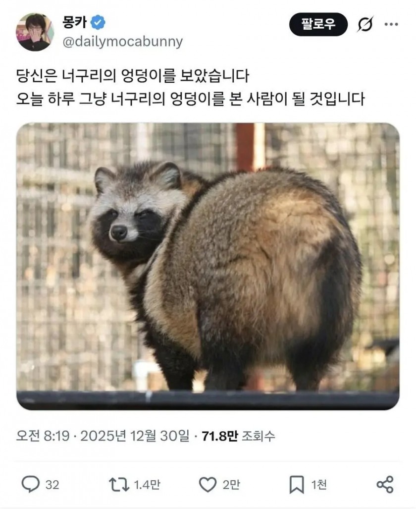 축하합니다, 당신은 너구리 엉덩이를 보았습니다.jpg - 악플달면 쩌리쩌려버려 - ＊여성시대＊ 차분한 20대들의 알흠다운 공간