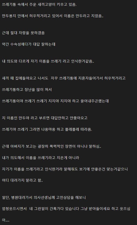고양이한테 쓰레기라고 부르는 사람 | 인스티즈