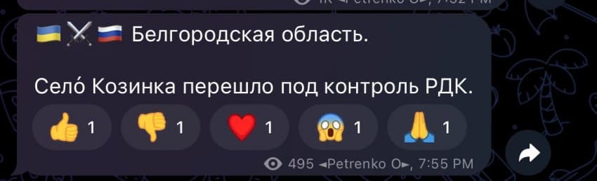 코진카 이미지