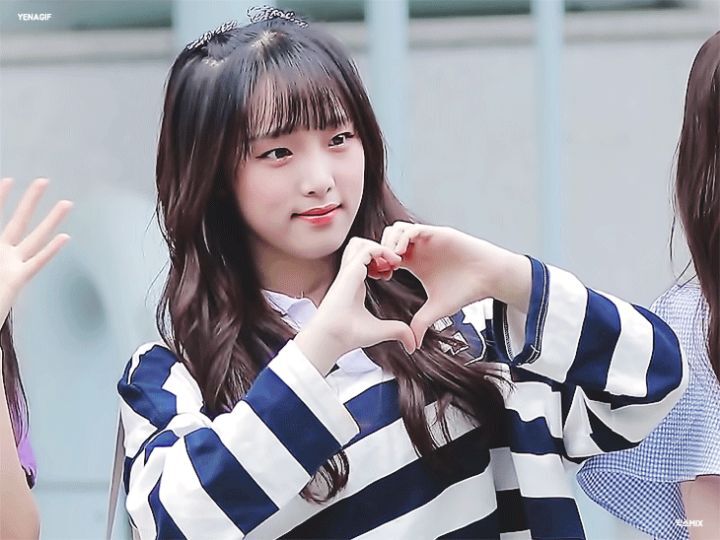 본인이 아이즈원에서 제일 좋아하는 최애 멤버는? | 인스티즈