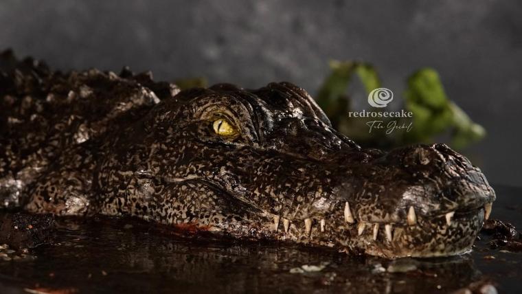케이크 같지 않은 케이크 | 인스티즈