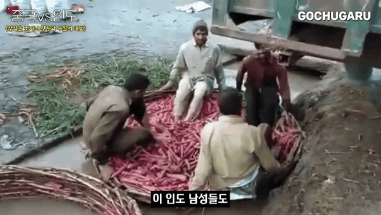 어머니의 손맛도 절대 따라올 수 없는 인도 길거리음식gif | 인스티즈