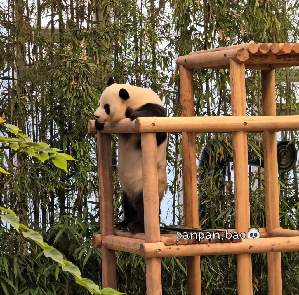 정글짐 이미지
