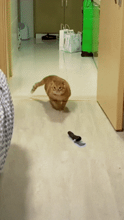 오 싸랑하는 마누롸 한번안아보자 | 인스티즈