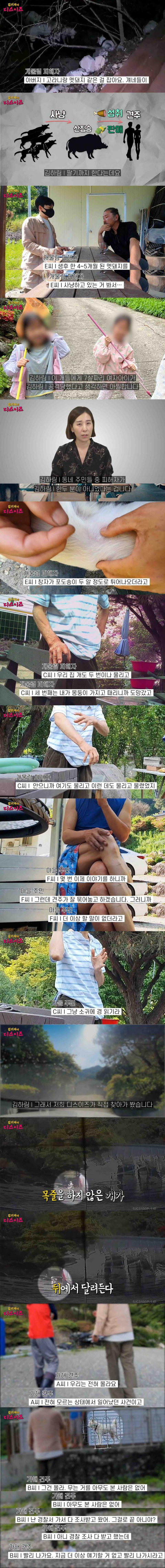 7살 여자아이를 사냥한 풍산개 5마리 | 인스티즈