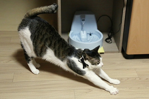 공감 이미지