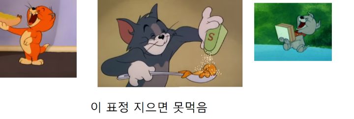 톰 이미지