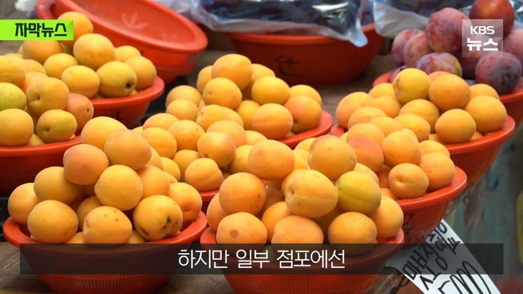 신용카드 소비쿠폰은 안 받겠다는 전통시장.jpg | 인스티즈